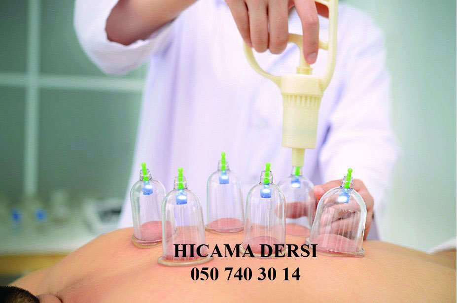 seller.az Hicama dərsləri