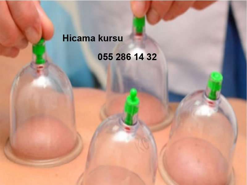 seller.az Hicama kursları 1aya peşəkar ol