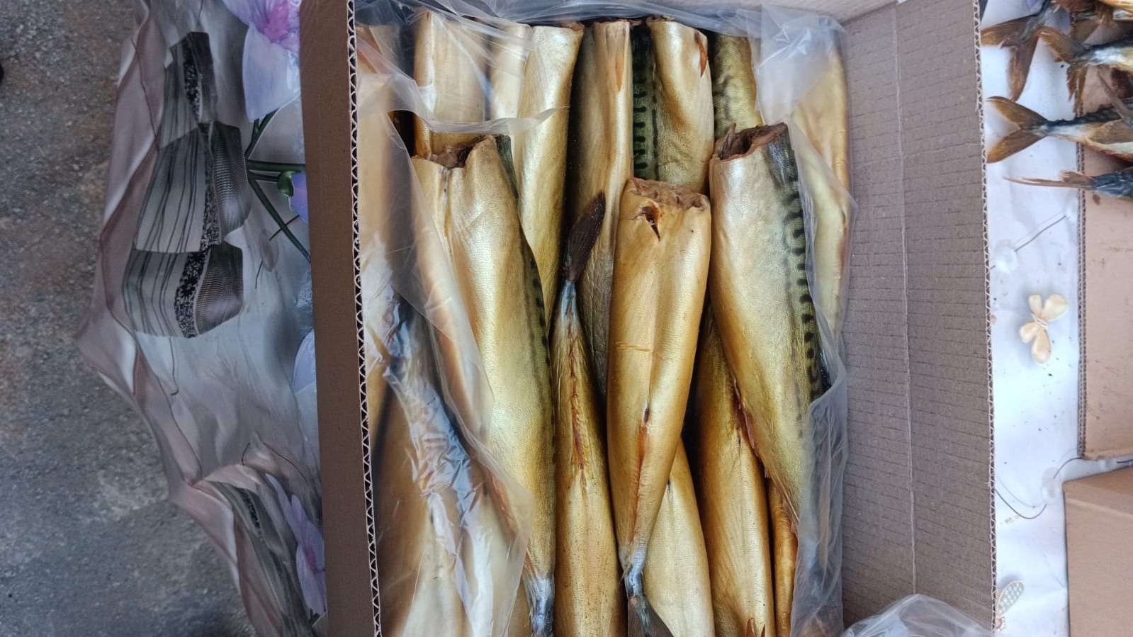 seller.az İnvestor axtarıram