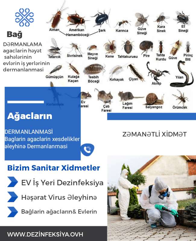 seller.az Dezinfeksiya Xidməti ilan ağcaqanad